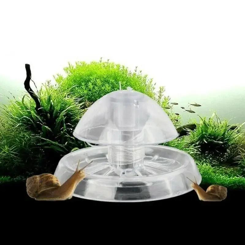 Planted Aquarium Cleaning - 2026 Perangkap Siput Plastik Transparan 6/8CM