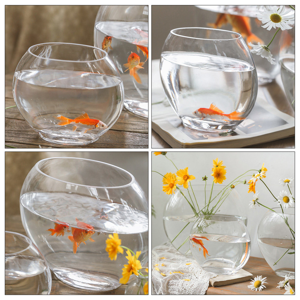 Planted Aquarium Bowl - Akuarium Kaca Elegan Desain Transparan Seperti