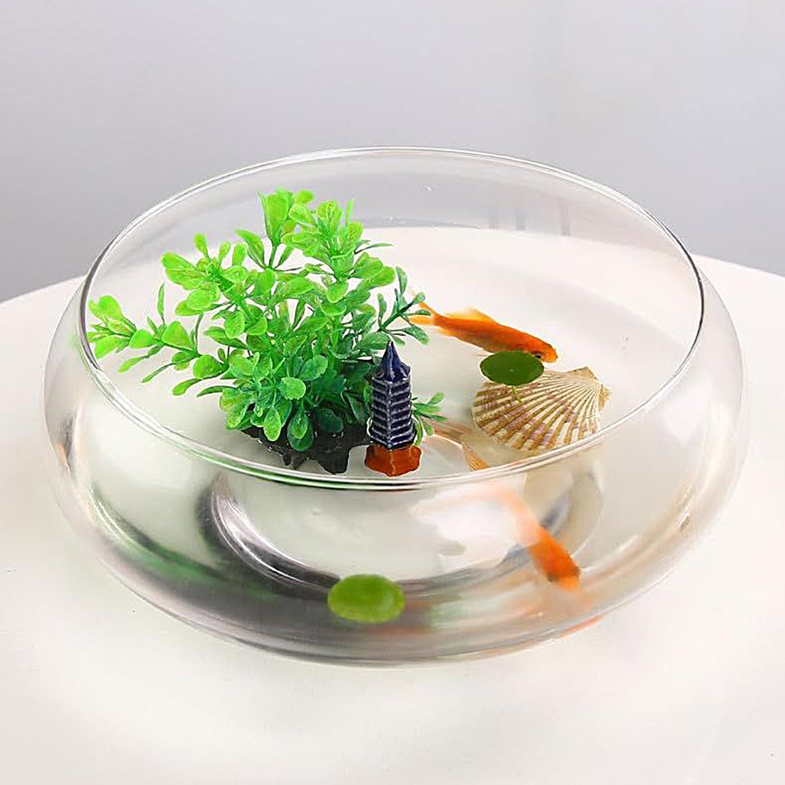Planted Aquarium Bowl - Mangkuk Kaca Ikan Pot Bunga Hidroponik