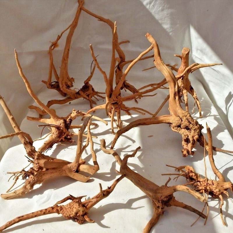 Aquarium Plant Root Tabs - 1 Buah Kayu Apung untuk Akuarium,