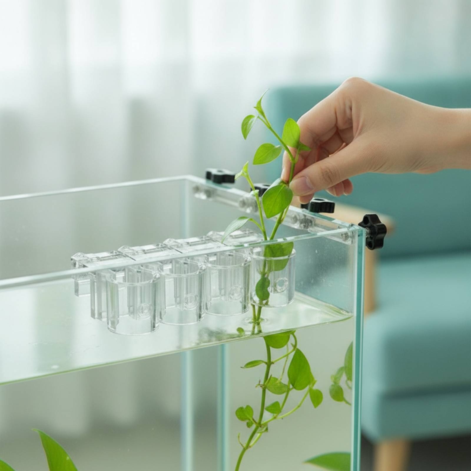 6 Buah Penjepit Penyangga Hidr - Aquarium Planted ulasan dan harga