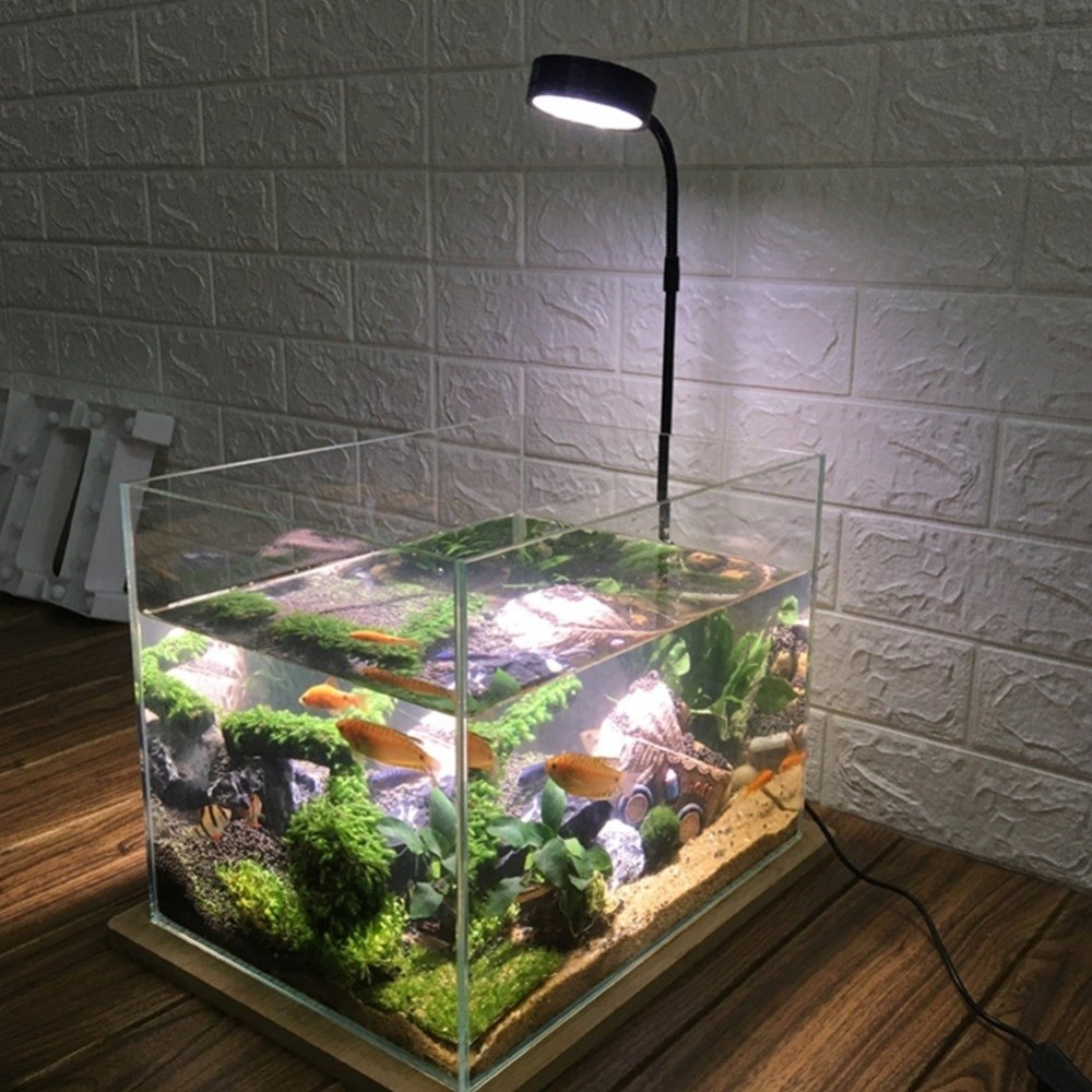 Lampu LED Akuarium 10W dengan  - Aquarium Plant On Wood ulasan dan harga