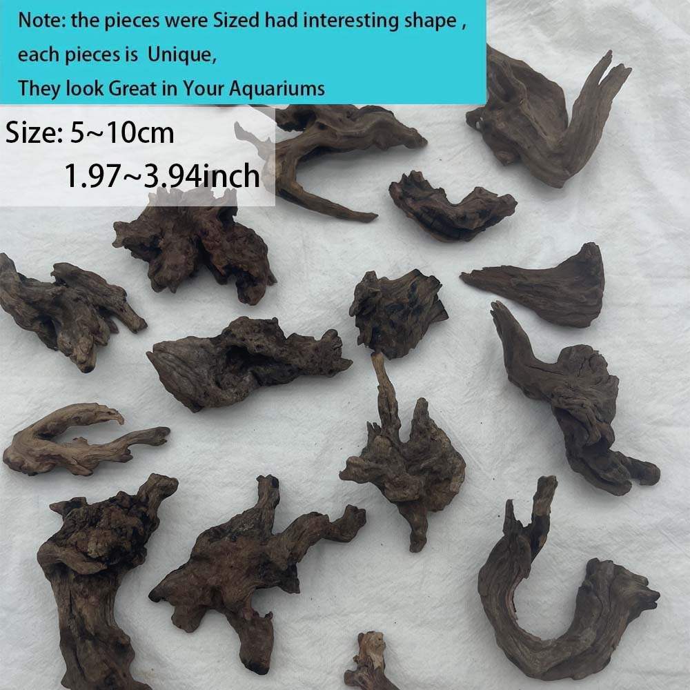 3 buah drinatural-Look Set Dri - Aquarium Planted Wood ulasan dan harga