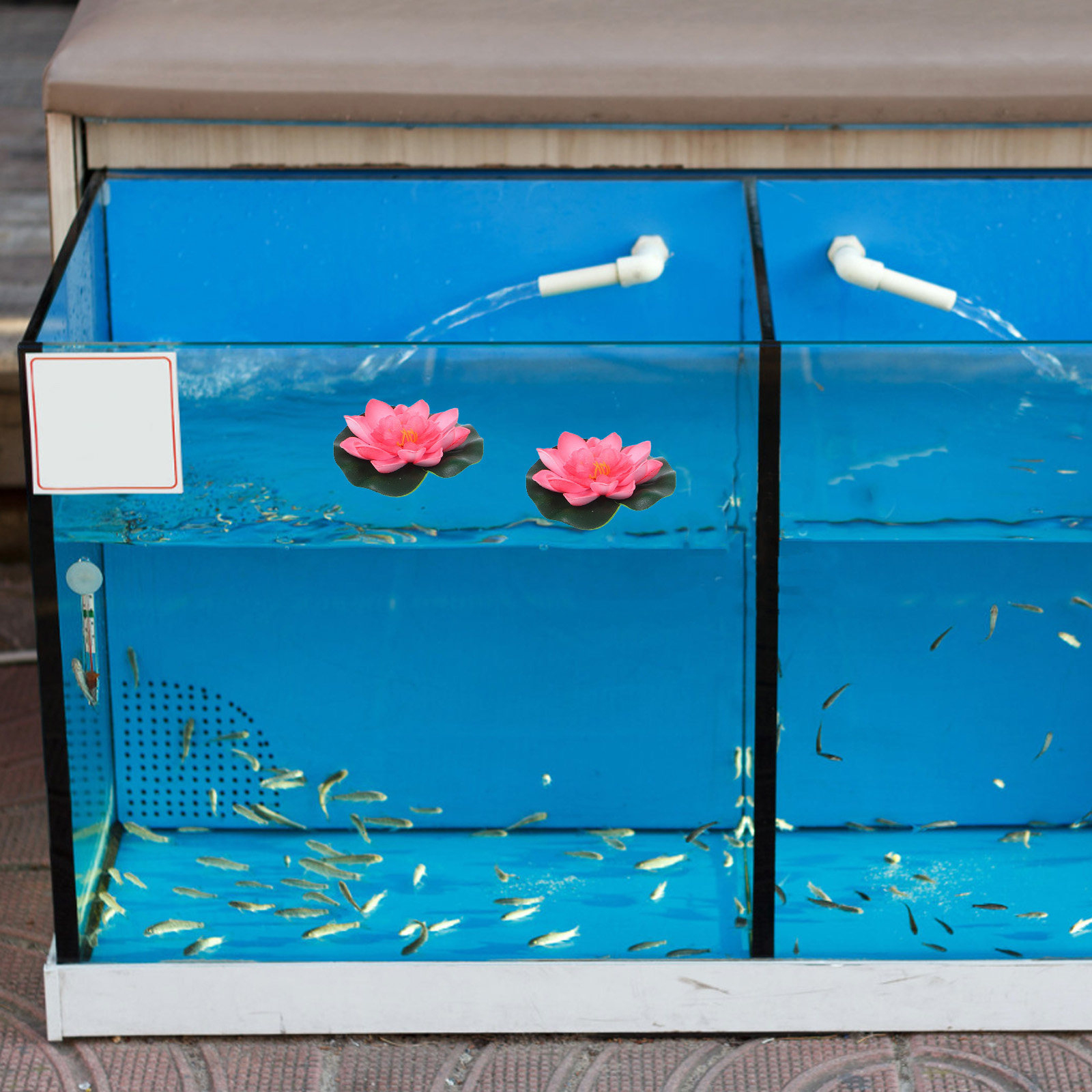 12 Buah Bunga Teratai Buatan u - Aquarium Planted ulasan dan harga