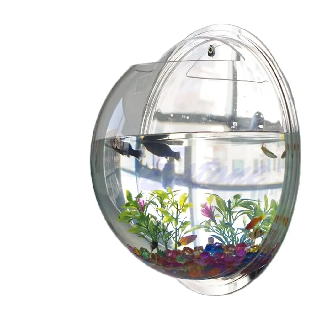 Mangkuk Ikan Akrilik Terpasang - Planted Aquarium Bowl ulasan dan harga