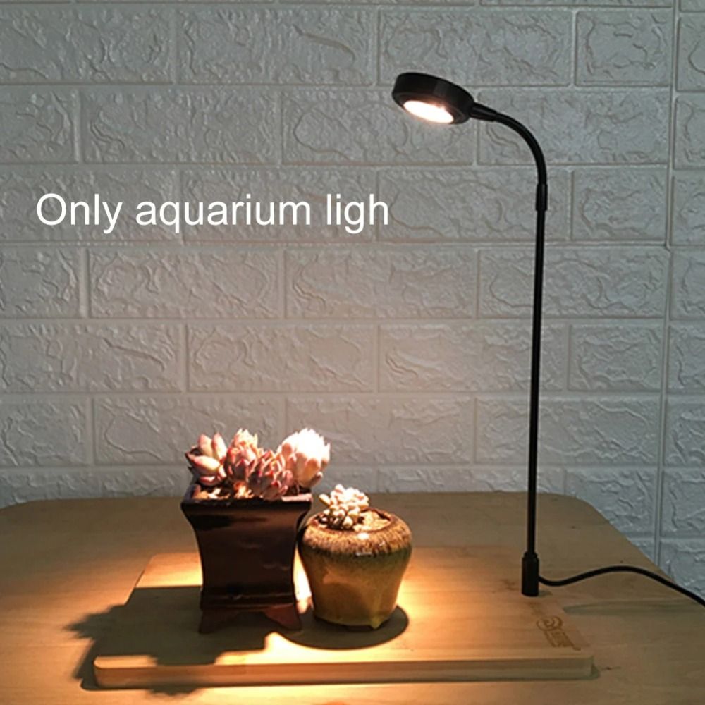 Lampu Tanaman Akuarium 10W den - Aquarium Plant On Wood ulasan dan harga