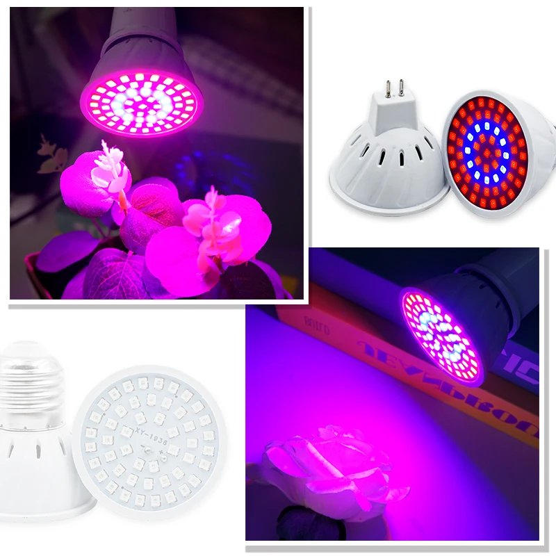 Lampu Phyto LED spektrum penuh - Led Planted Tank Light ulasan dan harga