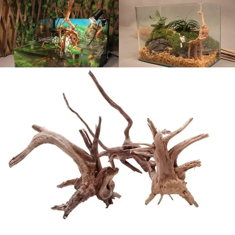 Pohon alami kayu apung akuariu - Aquarium Planted Wood ulasan dan harga