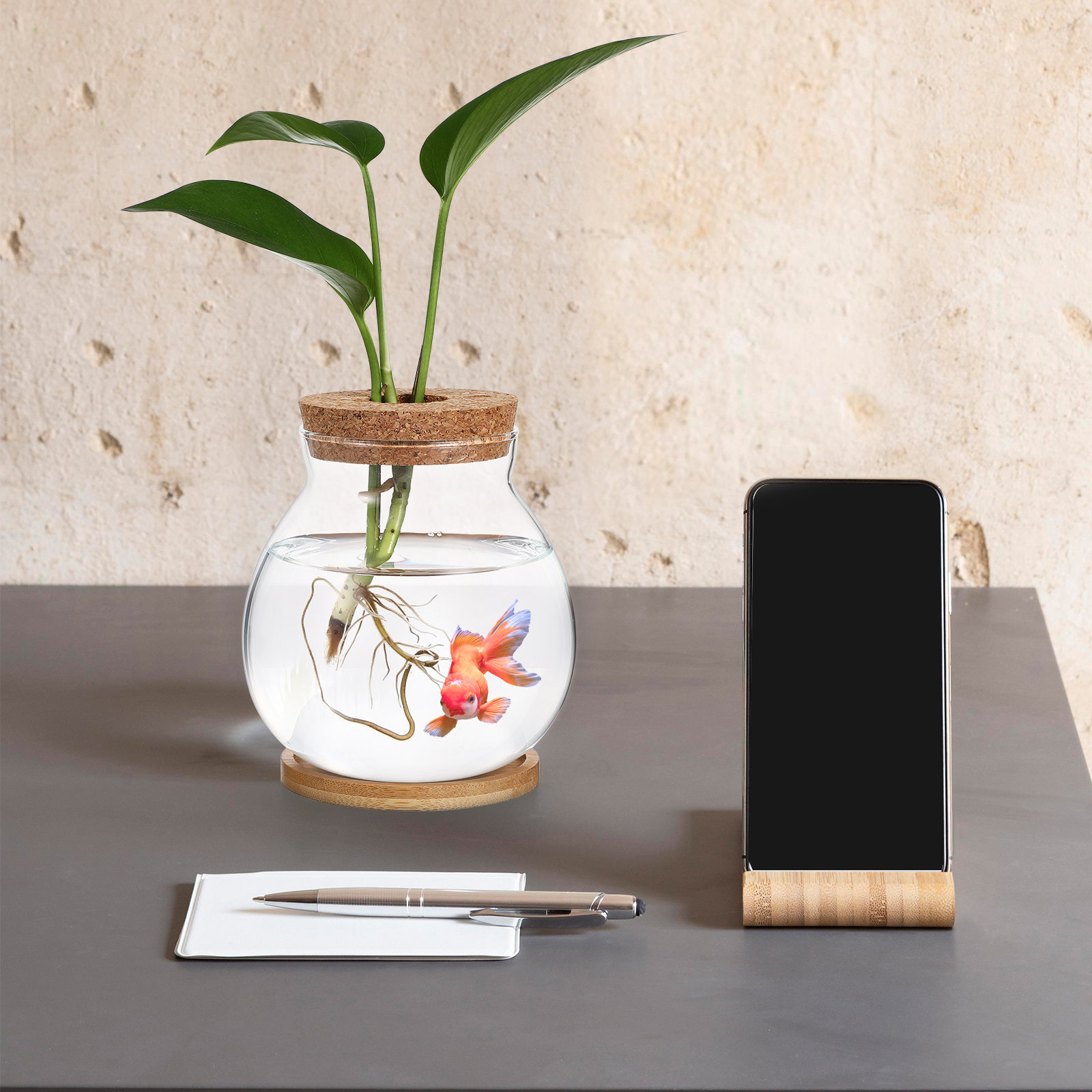 Akuarium Kaca untuk Ikan Cupan - Planted Aquarium Bowl ulasan dan harga