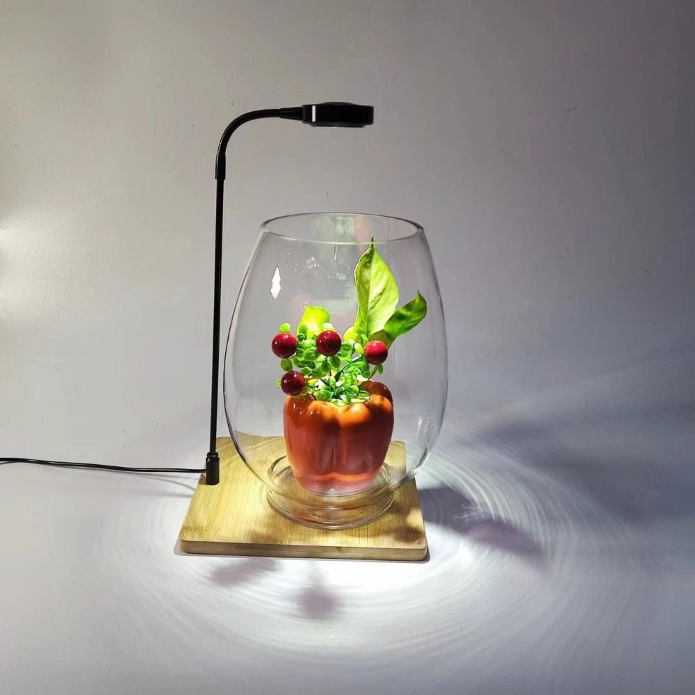 Lampu Isi Tanaman Akuarium 10W - Aquarium Plant On Wood ulasan dan harga