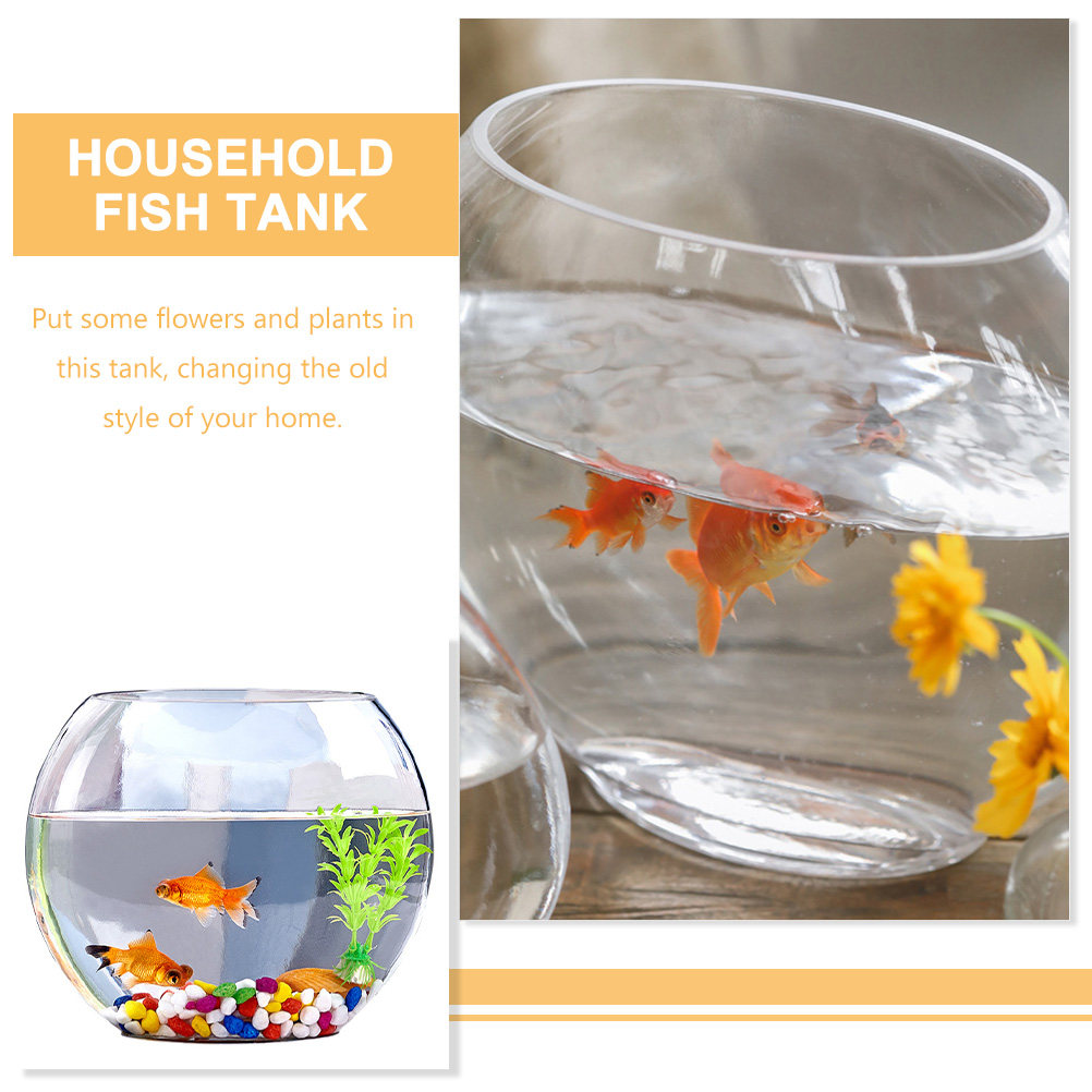 Akuarium Kaca Elegan Desain Tr - Planted Aquarium Bowl ulasan dan harga