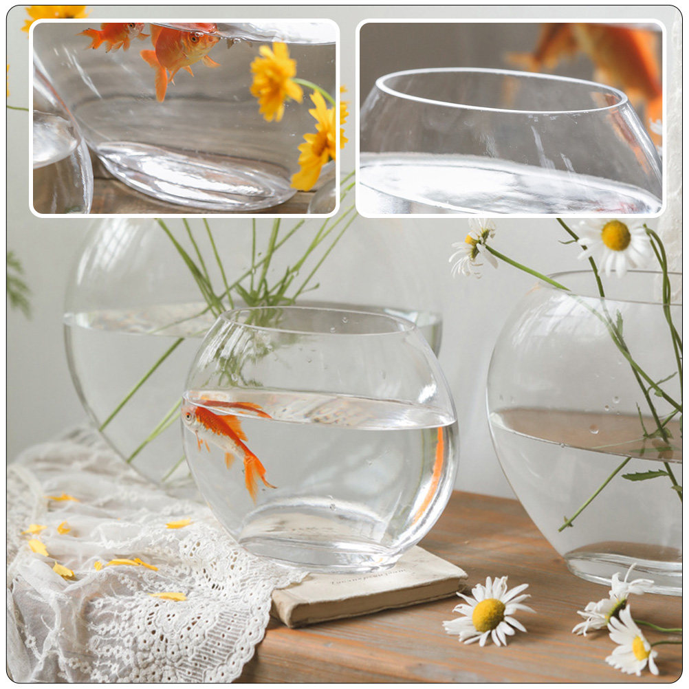 Akuarium Kaca Elegan Desain Tr - Planted Aquarium Bowl ulasan dan harga