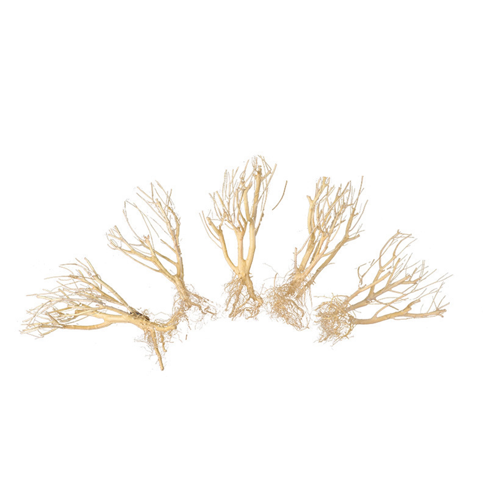 Ornamen Akuarium Kayu Apung DI - Aquarium Plant On Wood ulasan dan harga