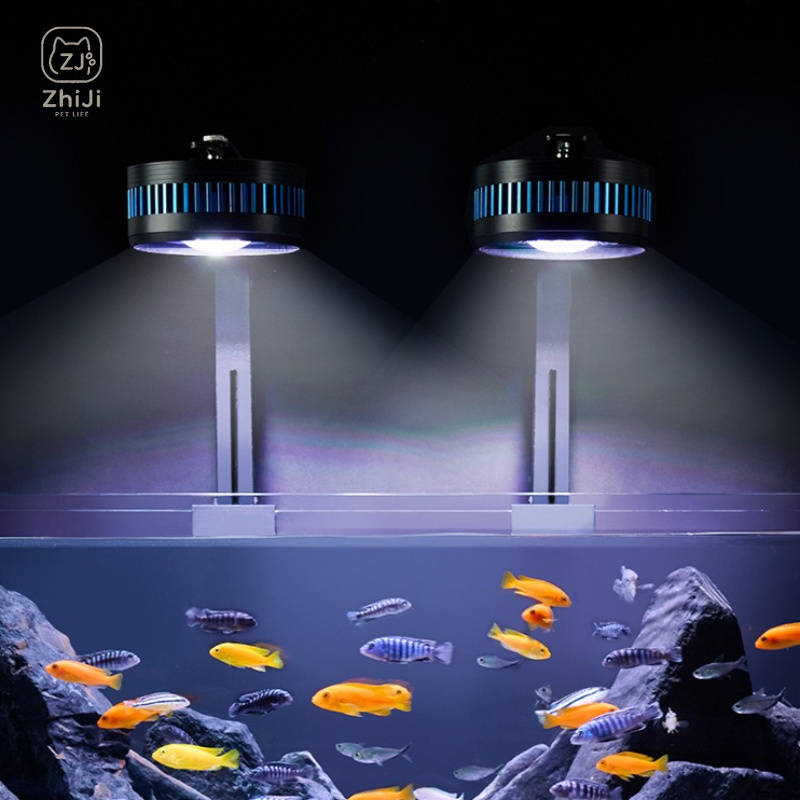 Lampu Downlight LED Spektrum P - Aquarium Plant On Wood ulasan dan harga