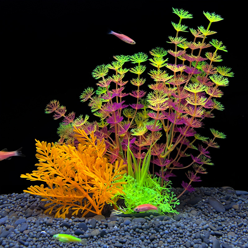 1 Buah Tanaman Dekorasi Akuari - Planted Aquarium Bowl ulasan dan harga