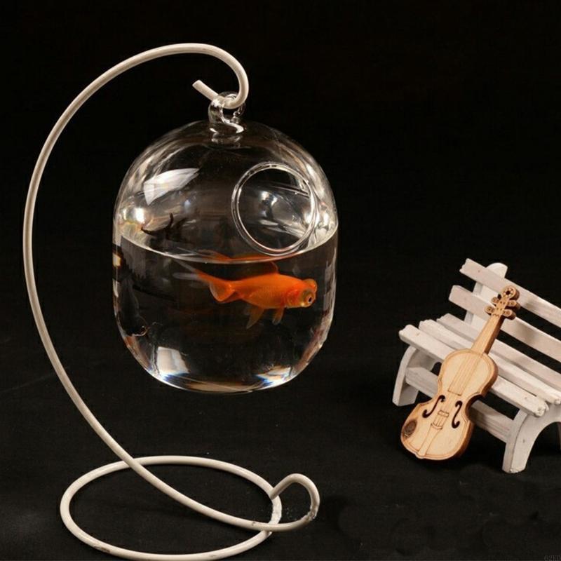 62kd Suspended Transparent Han - Planted Aquarium Bowl ulasan dan harga