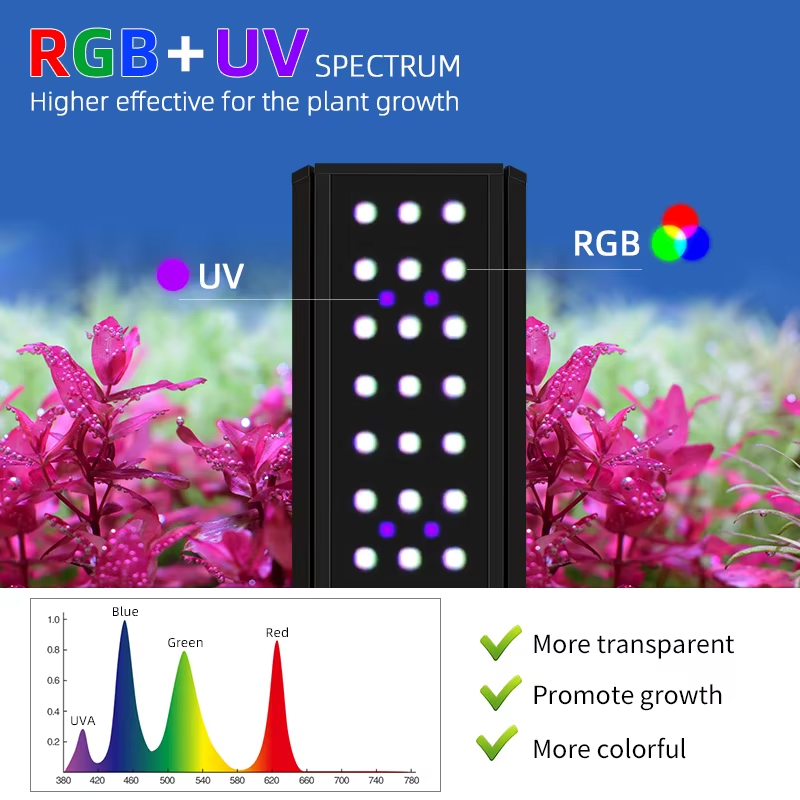 Lampu Akuarium WEEK AQUA LED S - Planted Aquarium Cycling ulasan dan harga