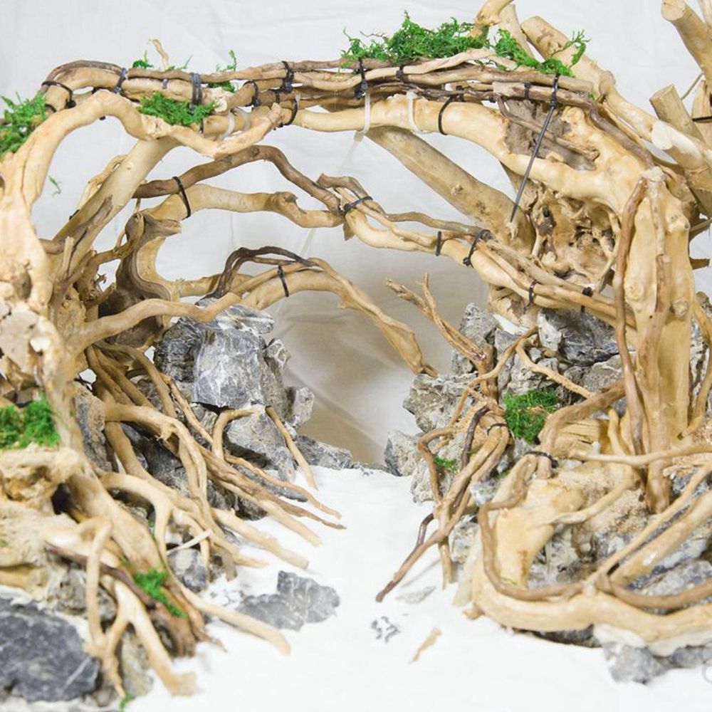 Kayu N1N Dekorasi Akuarium Lan - Aquarium Planted Wood ulasan dan harga