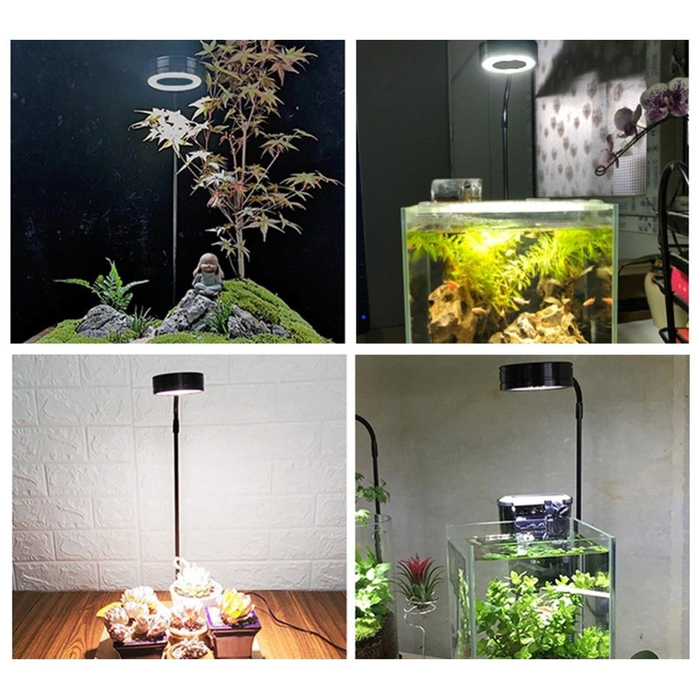 Lampu LED Akuarium 10W dengan  - Aquarium Plant On Wood ulasan dan harga