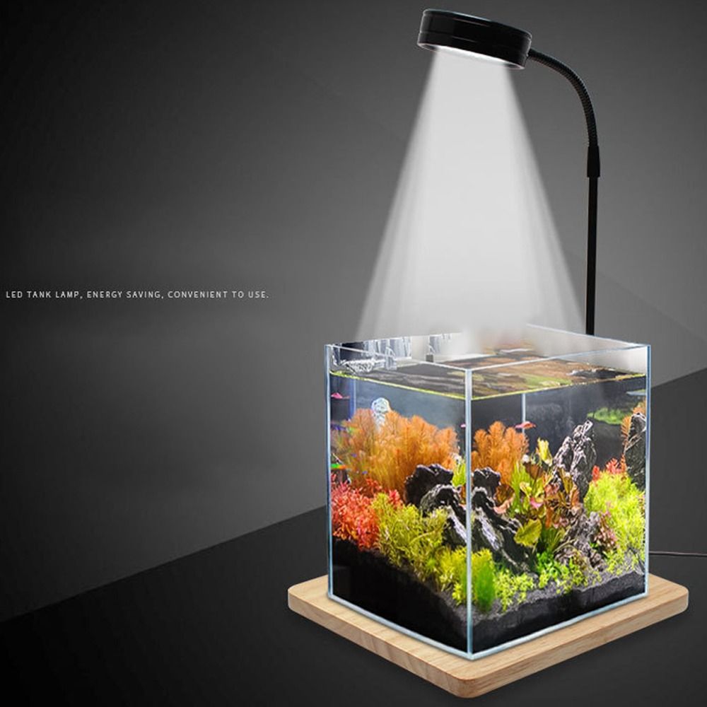 Lampu LED Akuarium 10W dengan  - Aquarium Plant On Wood ulasan dan harga