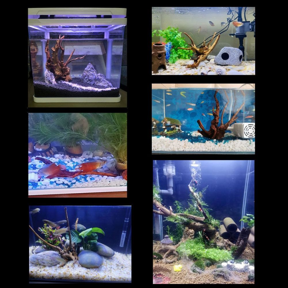 Pohon alami dekorasi akuarium  - Aquarium Planted Wood ulasan dan harga