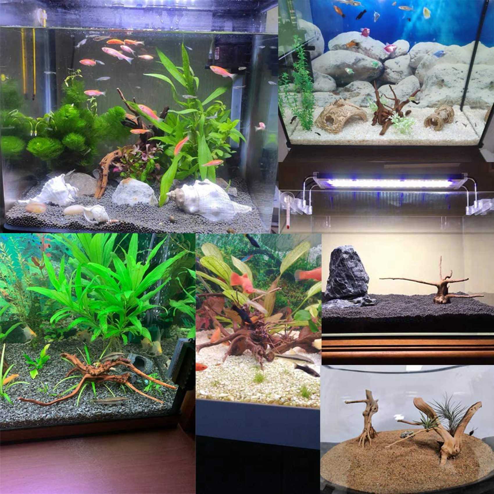 Promo Panas-Mini Kayu Apung Un - Aquarium Plant Root Tabs ulasan dan harga