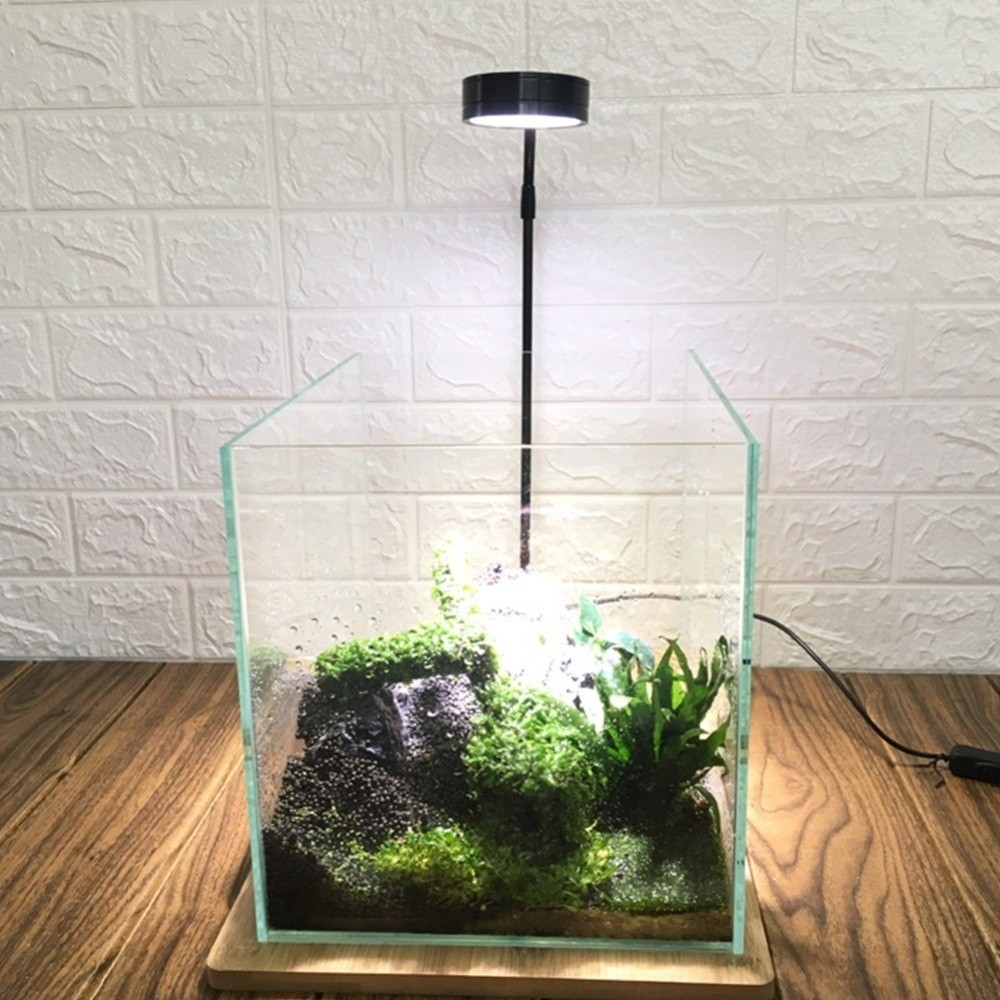 Lampu LED Akuarium 10W dengan  - Aquarium Plant On Wood ulasan dan harga