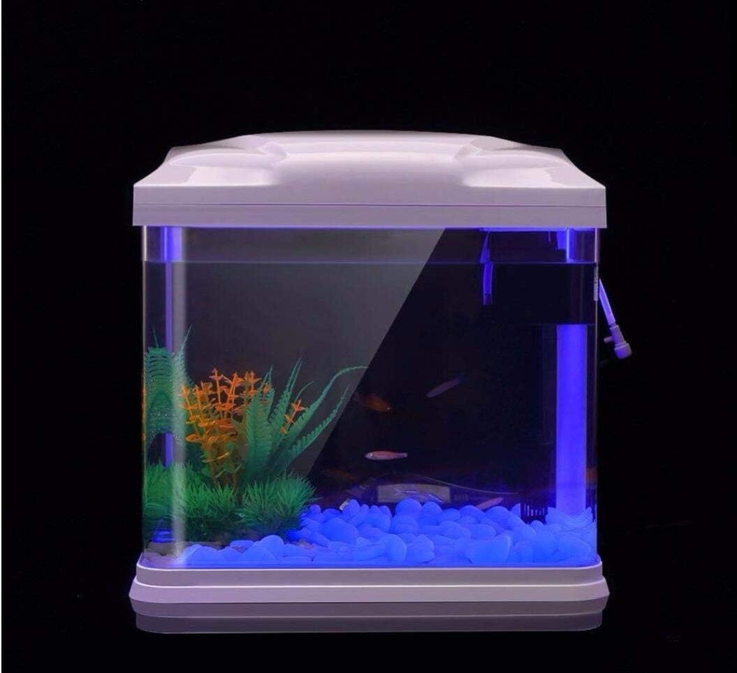 Batu Tangki Ikan Kerikil Biru  - Aquarium Planted ulasan dan harga
