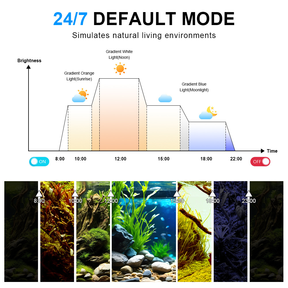 Lampu LED Akuarium 24/7 Siklus - Planted Aquarium Cycling ulasan dan harga
