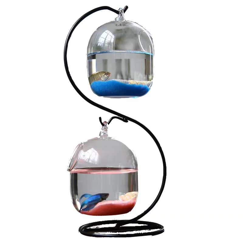 Kreatif Dua Dek Ditangguhkan T - Planted Aquarium Bowl ulasan dan harga