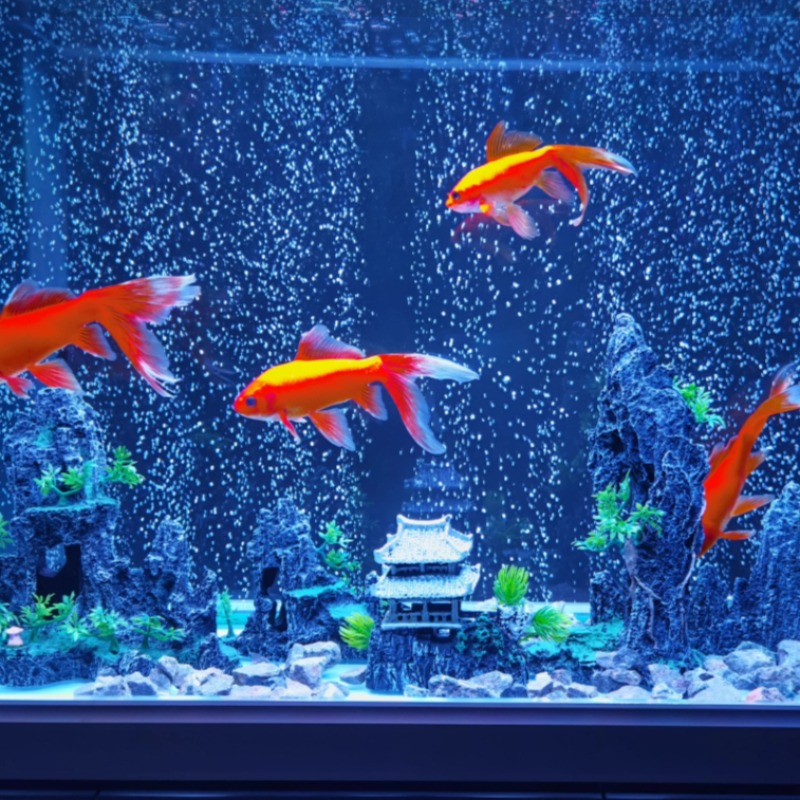 Set Ornamen Gua Batu Dekorasi  - Aquarium Plant Root Tabs ulasan dan harga