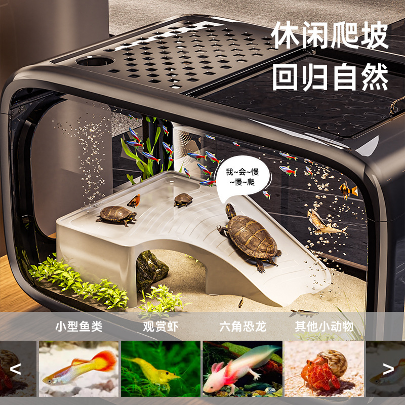 Aksesori Tangki Ikan Dekorasi  - Planted Aquarium Bowl ulasan dan harga