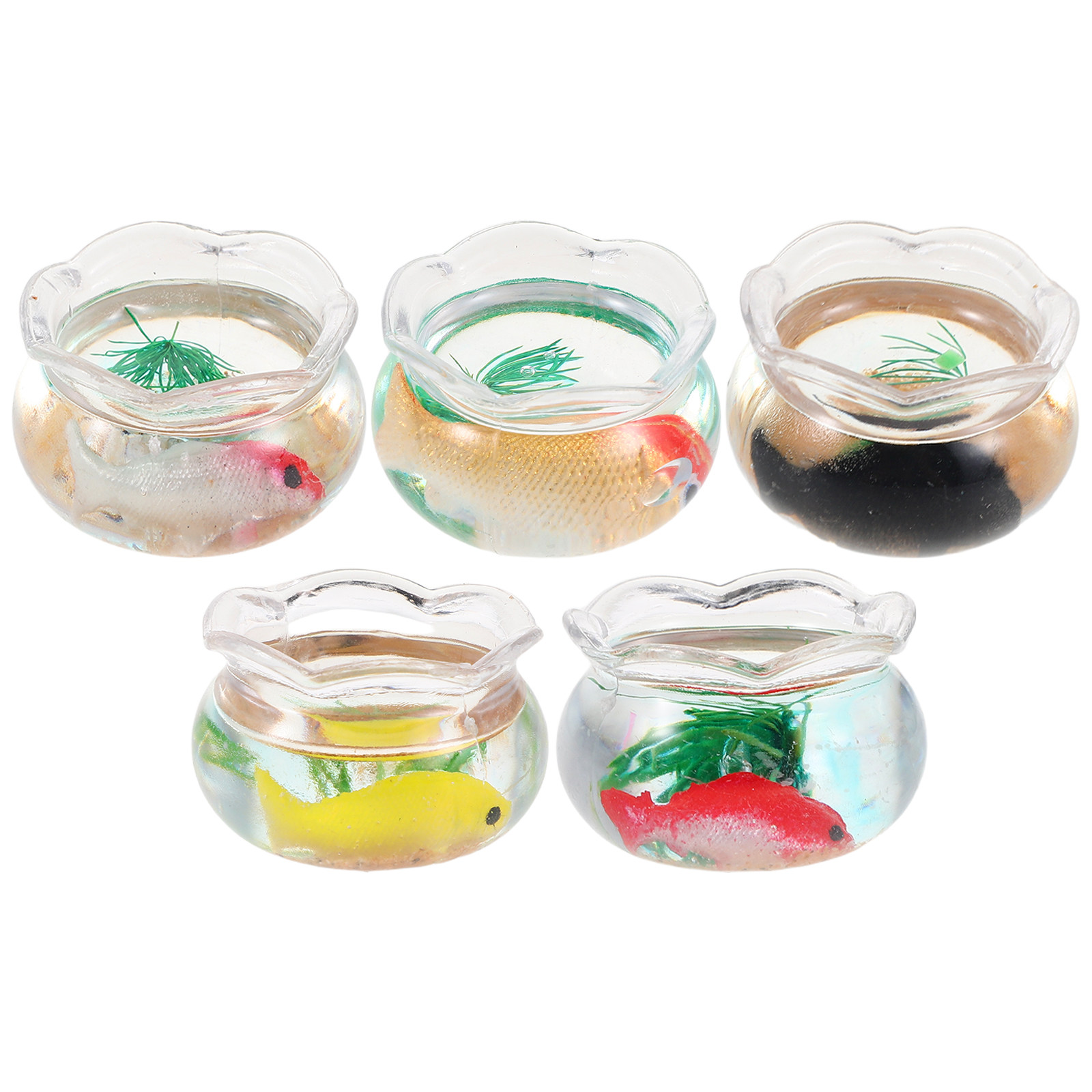 5Pcs Akuarium Mini Berbentuk B - Aquarium Planted ulasan dan harga